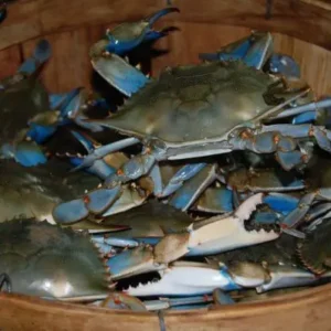 Crab Season Starter Pack