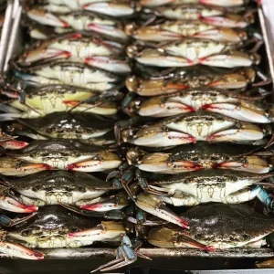 Frozen Soft Crabs