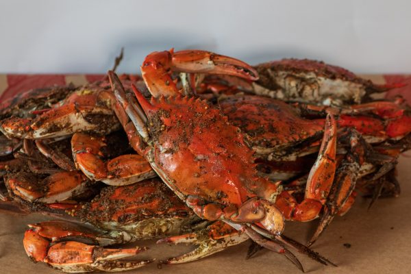 Crab Season Starter Pack