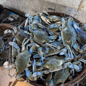 Bushel
