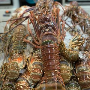 Lobsters