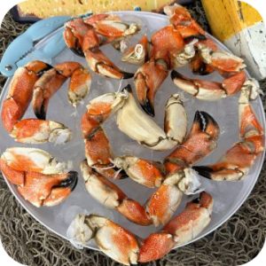 Stone Crab Claws