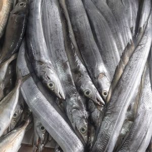 Cutlassfish