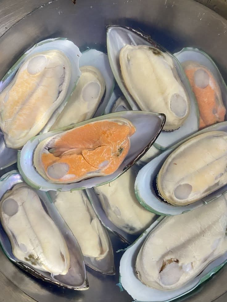 Fresh Mussels